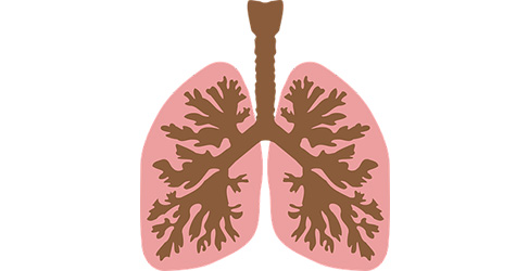 lung.jpg